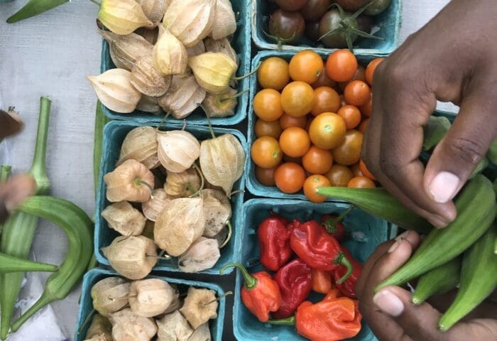 Sankofa Farm Stand at Clark Park