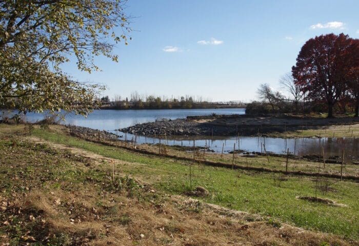 Wetlands Bio Blitz!