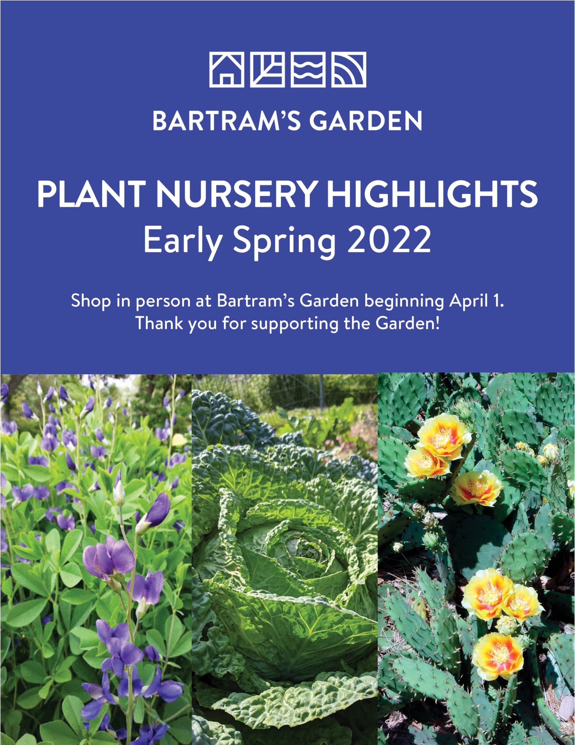 Cover of nursery catalogue showing detail images of purple flowers, green cabbage, and yellow-blooming succulent.