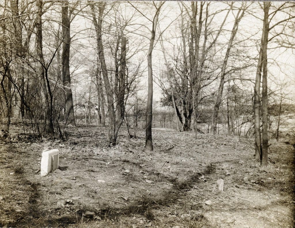 Harvey's Grave