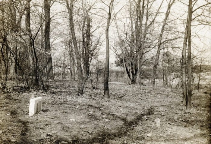 Harvey's Grave