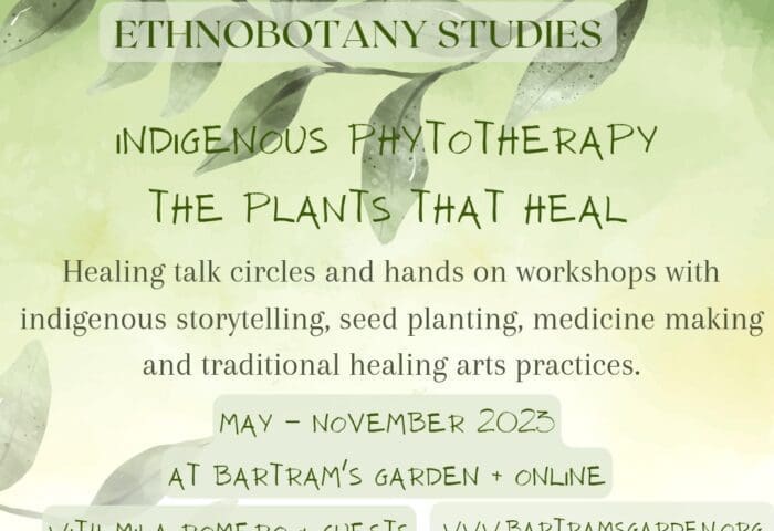 Indigenous Phytotherapy Series: Words From Traveling Plants Healing Talk Circle