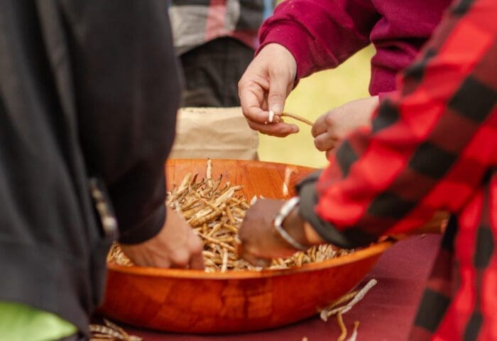 SWWAG Workshop: Seed Keeping