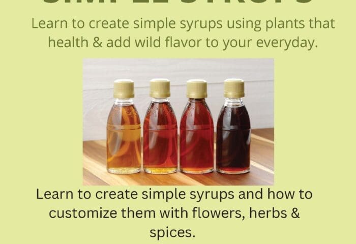 Botanical Simple Syrups